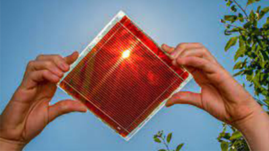 perovskite solar cells